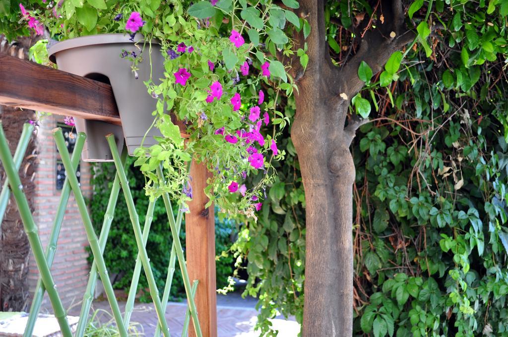 Hotel Oasis Kordoba Bagian luar foto